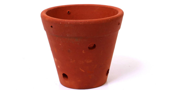 Vaso