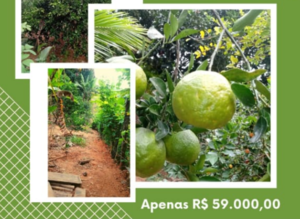 Chácara em Divinópolis - Serra