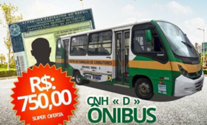 Adição de Categoria D Ônibus